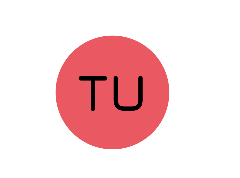 infografica-pm